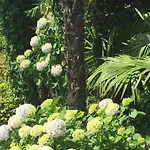 Bed and Breakfast Residenza Bettina & 3*