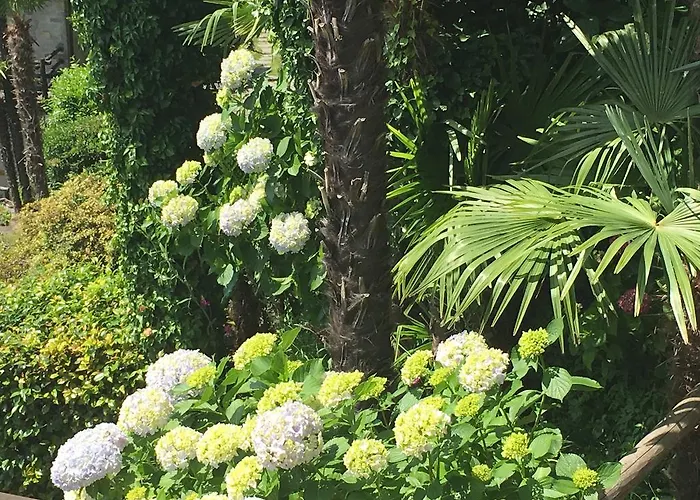 Oda ve Kahvaltı Residenza Bettina & 3*