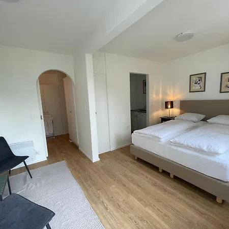 Residenza Bettina Bnb&ferienwohnungen 3* Ronco sopra Ascona