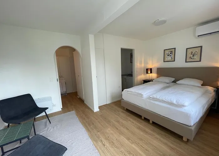 Residenza Bettina Bnb&ferienwohnungen 3* Ronco sopra Ascona