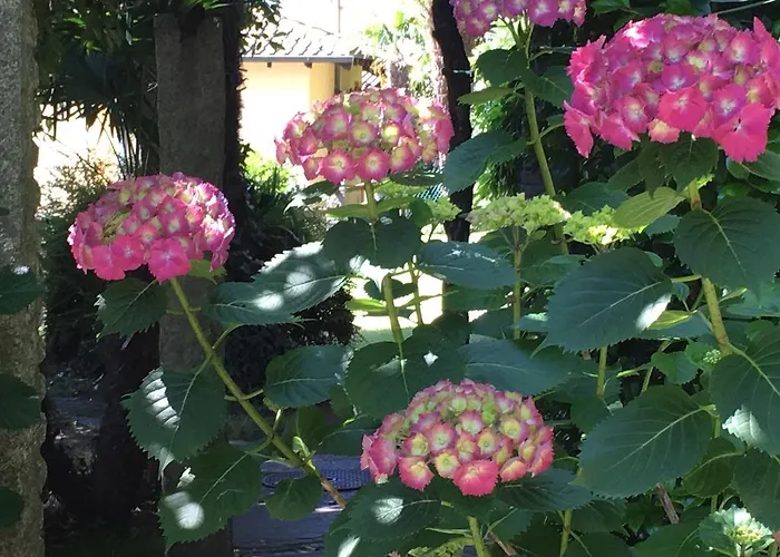 Bed & Breakfast Residenza Bettina & Ronco sopra Ascona